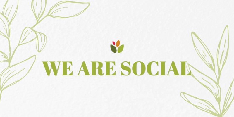We are Social 