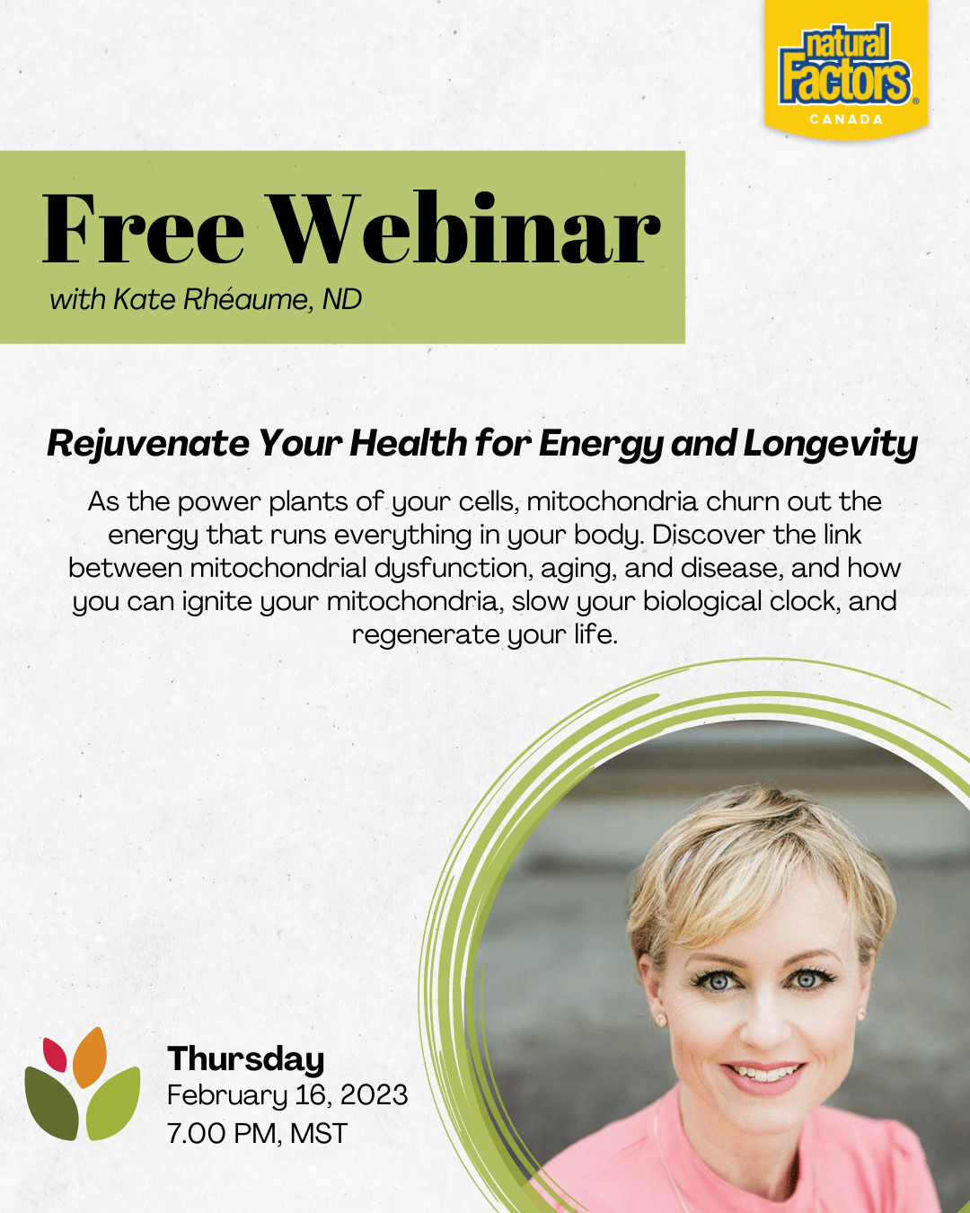 Feb Free Webinar-FB + IG