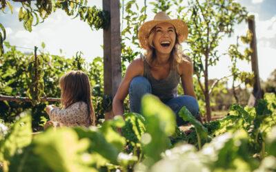 Get The Most Out of Every Square Foot of your Garden!