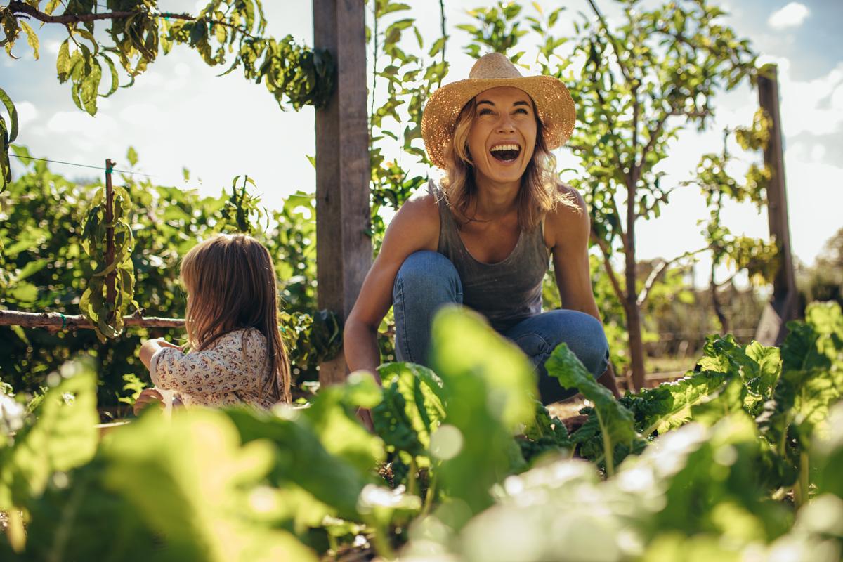 Gardening-Article-Web