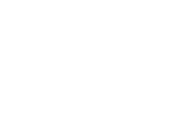 white-reverse-logo