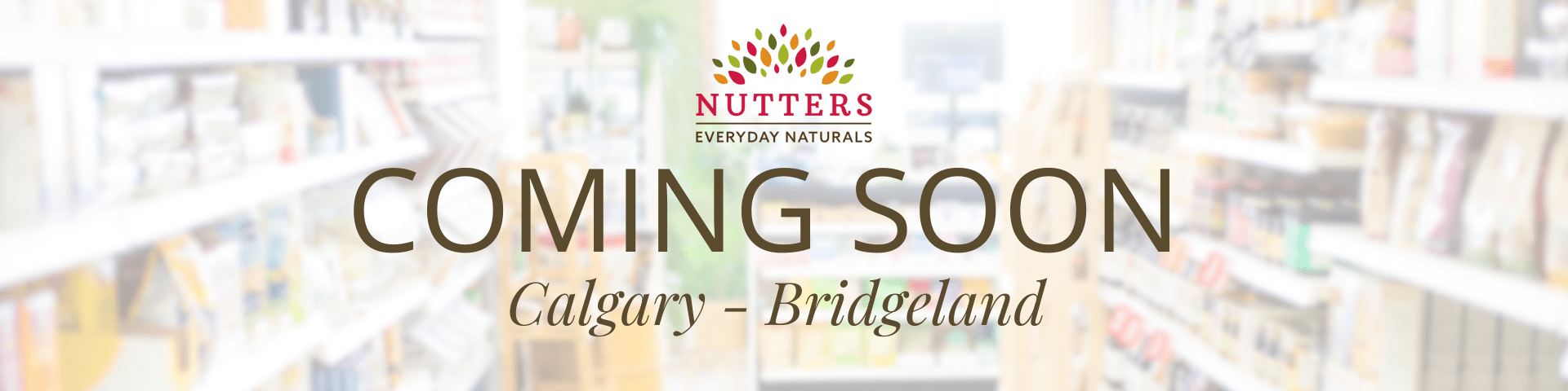 Website Page banners