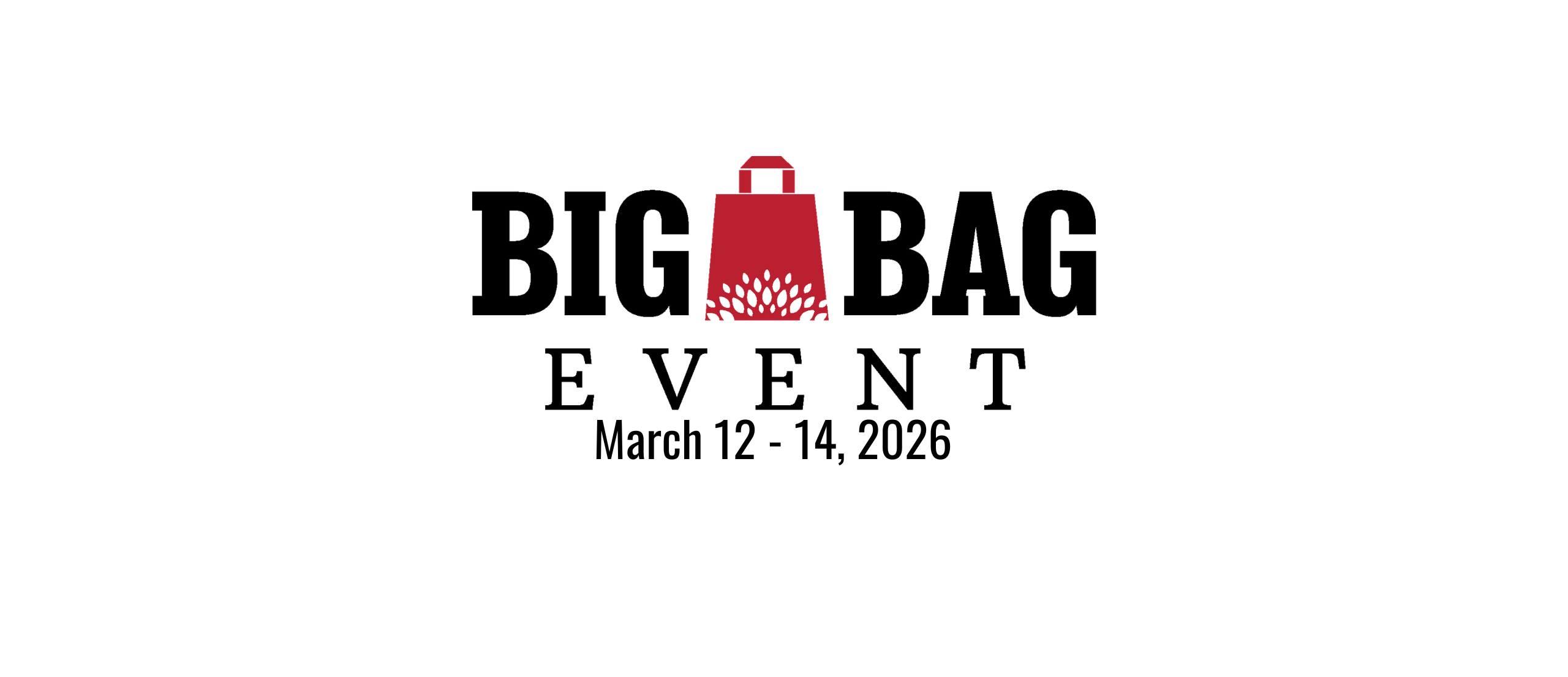 Big Bag Web Banner